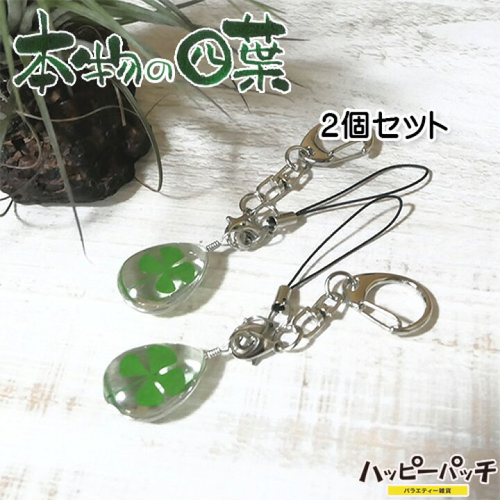 楽天市場】四葉 キーホルダー ストラップ 2個セット しずく型 本物の四 