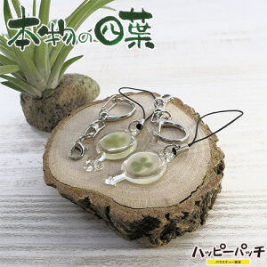 �l�t �N���[�o�[ KH ST �Z���t �~�� �I�X���X �y�A �{���̎l�t �N���[�o�[ �K�� �K�^ YS-123 ���[����OK