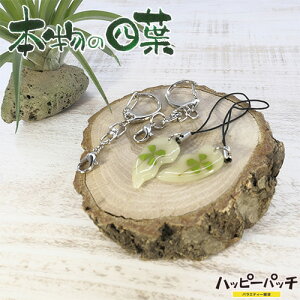 �l�t �N���[�o�[ KH ST �Z���t �~�� �n�[�g �y�A �{���̎l�t �N���[�o�[ �K�� �K�^ YS-124 ���[����OK