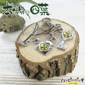 lt N[o[ KH ST Zt ~ 싞ƌ yA {̎lt N[o[ K K^ YS-128 [OK