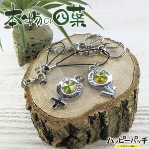 lt N[o[ KH ST Zt ~ IXX yA {̎lt N[o[ K K^ YS-129 [OK