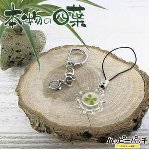 �l�t �N���[�o�[ KH ST �Z���t �~�� ���z �{���̎l�t �N���[�o�[ �K�� �K�^ YS-130 ���[����OK