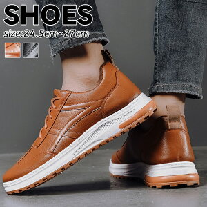 C Y Xj[J[ V[Y ɂ y y ₷ R L YV[Y AEghA X|[cV[Y U[V[Y [XAbv hCrOV[Y JWAV