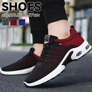 C Y Xj[J[ V[Y ɂ y y ₷ R L YV[Y AEghA X|[cV[Y U[V[Y [XAbv hCrOV[Y JWAV