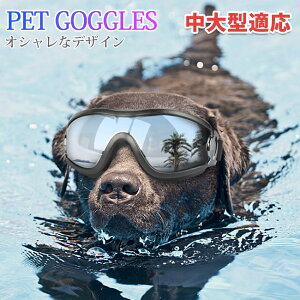 pS[O hbOS[O pTOX O΍ Ԑ΍ UVJbg ~߃Y ߗ ybgS[O ybgpi J[pi UObc  Kl h ho 