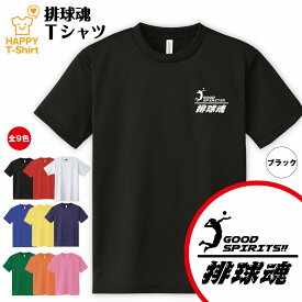 おもしろ tシャツ バレーボール tシャツ 排球魂 ドライ Tシャツ B | バレー tシャツ ティーシャツ ティシャツ 半袖 男性 女性 メンズ レディース 誕生日 プレゼント ギフト プチギフト 部屋着 ペア 子供服 ネタ 応援 グッズ 面白 デザイン 練習着 ウェア ユニフォーム