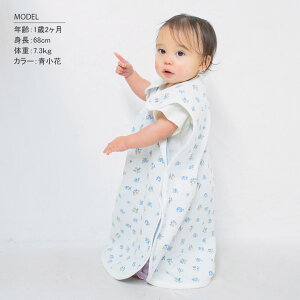 yzK[[X[p[ xr[ X[p[  V  t H~ h  V  pW}  ̎qԂ  ߋ Sj H j