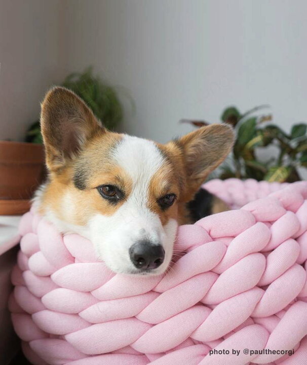 楽天市場 室内 ペットハウス ドーム型 ペットベッド 小型 中型 犬 猫 大型犬 Diy 手作り 手編み 大きいサイズ 春 秋 冬 キャットハウス ドーム型 四季通用 ペット休憩所 上品 柔らかいs M L Xl ペット用品 Luckland