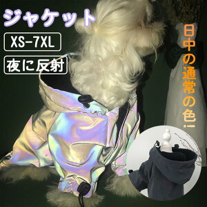 ybg EFA  H~ hbOEFA L //^p hR[g R[g WPbg ё΍ g _炩 hh U   [U ₷ ۉ AE^[ 