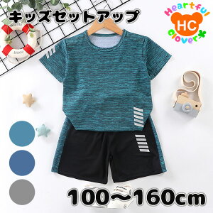 TVc n[tpc ㉺Zbg ZbgAbv  Y{ j̎q {[CY q LbY WjA q ǂ qǂ Vv  [EFA pW} X|[c |GXe j
