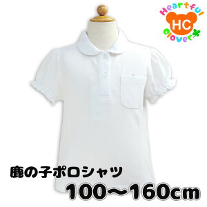  XN[ |Vc LbY gbvX ̎q  100-160ʊw ʉ |  ʔ w Vc XN[|Vc ۋ ʊwp ct w wZp   q WjA q 