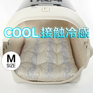 ėp NbVxbh ڐG⊴ }[xXN[ Ginga O[ MTCY / wY ybgxbh LsO ybg N[ N[g}bg N[gNbV N[gxbh