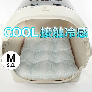 ėp NbVxbh ڐG⊴ }[xXN[ Ginga u[ MTCY / wY ybgxbh LsO ybg N[ N[g}bg N[gNbV N[gxbh