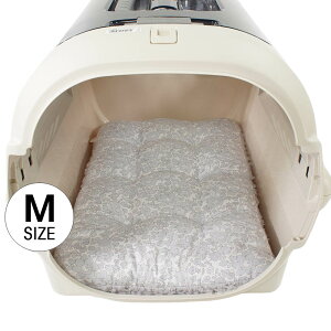 NbVxbh oeBvg Betsy O[t@[/sNt@[ S/MTCY wY ybgxbh  L LsO ybg N[g}bg N[gNbV N[gxbh