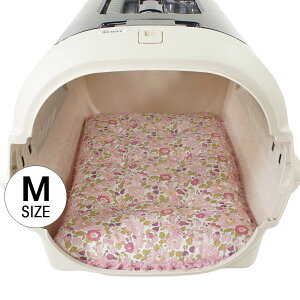 NbVxbh oeBvg Betsy O[t@[/sNt@[ S/MTCY wY ybgxbh  L LsO ybg N[g}bg N[gNbV N[gxbh