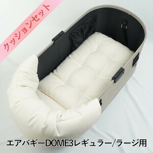 y500~OFFzDOME3M[/[WpNbVZbg ՂՂ̂NbV{̂NbV MTCY 