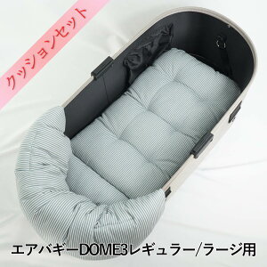 y500~OFFzDOME3M[/[WpNbVZbg ՂՂ̂NbV{̂NbV MTCY qbR[fjTbNX
