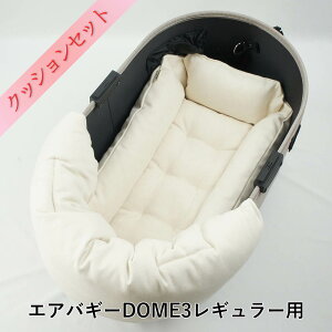 y500~OFFzDOME3M[pNbVZbg ՂՂ ̂NbV{L[NbVxbh STCY 