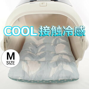 ėp̂NbV ڐG⊴ }[xXN[ [tO[ MTCY / wY ybgxbh  L LsO ybg N[g}bg N[gNbV N[gxbh