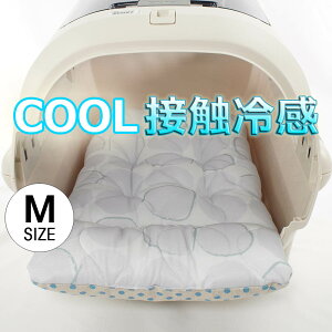 ėp̂NbV ڐG⊴ }[xXN[ Abuku O[ MTCY / wY ybgxbh  L LsO ybg N[g}bg N[gNbV N[gxbh