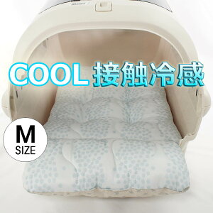 ėp̂NbV ڐG⊴ }[xXN[ Ginga u[ MTCY / wY ybgxbh  L LsO ybg N[g}bg N[gNbV N[gxbh