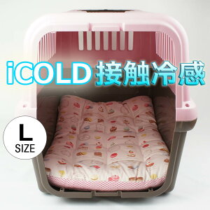 ėpNbVxbh iCOLD ڐG⊴ }JsN LTCY / wY ybgxbh  L LsO ybg N[g}bg N[gNbV N[gxbh