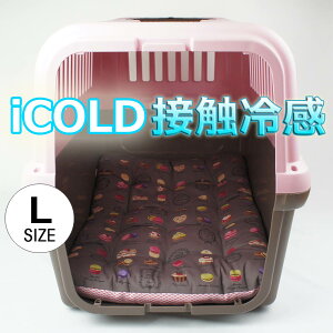 ėpNbVxbh iCOLD ڐG⊴ }J`R LTCY / wY ybgxbh  L LsO ybg N[g}bg N[gNbV N[gxbh