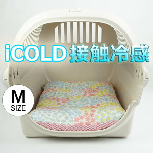 ėp NbVxbh iCOLD ڐG⊴ NINANbJ^n ItzCg MTCY / wY ybgxbh LsO ybg N[ N[g}bg N[gNbV N[gxb