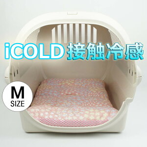 ėp NbVxbh iCOLD ڐG⊴ NINANbJ^n sN MTCY / wY ybgxbh LsO ybg N[ N[g}bg N[gNbV N[gxbh