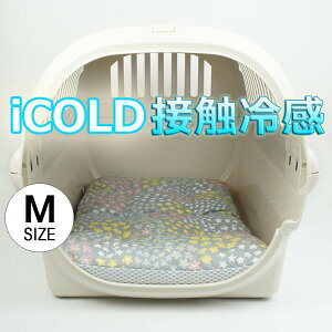 ėp NbVxbh iCOLD ڐG⊴ NINANbJ^n O[ MTCY / wY ybgxbh LsO ybg N[ N[g}bg N[gNbV N[gxbh