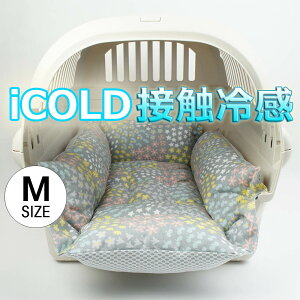 ybg ėpL[NbVxbh iCOLD ڐG⊴ NINANbJ^n O[ MTCY / wY ybgxbh LsO ybg N[ N[g}bg N[gNbV N