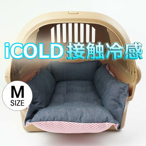 ybg ėpL[NbVxbh iCOLD ڐG⊴ 10IXfjlCr[ MTCY / wY ybgxbh LsO ybg N[ N[g}bg N[gNbV N