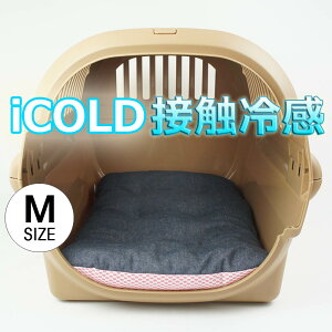 ėp NbVxbh iCOLD ڐG⊴ 10IXfjlCr[ MTCY / wY ybgxbh LsO ybg N[ N[g}bg N[gNbV N[gxbh