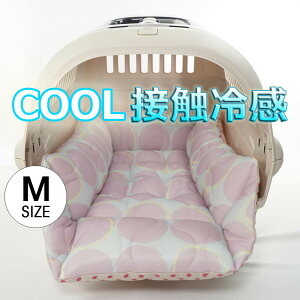 ybg ėpL[NbVxbh ڐG⊴ }[xXN[ Abuku sNp[v MTCY / wY ybgxbh LsO ybg N[ N[g}bg N[gNbV