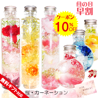 10％OFFクーポン 母の日 ギフト カーネーション 桜 お誕生日 プレゼント ハーバリウム お花 ピンク さく…