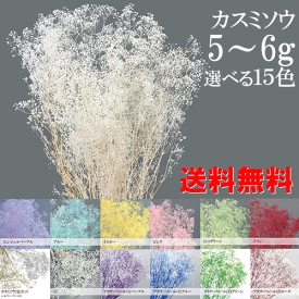 ＼クーポン配布／ プリザーブドフラワー かすみ草 カスミソウ 小分け 花材 ソフトミニカスミソウ 約5~6g 【送料無料】 4色セット アソート シロ 白 フラワーベール ピンク ワイン ブルー パープル ハーバリウム 花材 カスミ草 ハンドメイド 手作り 楽天ランキング1位