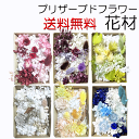 ＼クーポン配布／ プリザーブドフラワー 花材 【送料無料】キット セット 小分け キャンドル パーツ 素材 材料 詰め合わせ 詰合せ 少量 アソート ソラフラワー プリザーブドフラワー レジン封入 アロマワックスサシェ リース 髪飾り ボトルフラワー 花 髪飾り Atelier memi