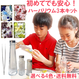 ＼クーポン配布／ ハーバリウム キット 3本 送料無料 花材 セット ブルー ピンク レッド グリーン パープル ピンセット オイル ハーバリウム専用液 初心者でも安心 手作り花のインテリア DIY おしゃれ 手づくり 手作り rimo(R) Atelier memi アトリエメミ