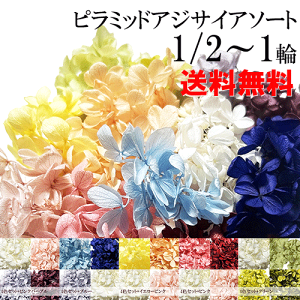 _10%OFF^ vU[uht[  A\[g 12FZbg n[oE ԍ yz 5`6g 10`11g  \tgs~bhAWTC zCg  sN CG[ O[ u