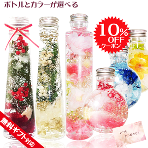 N[|zz a v[g ̓ Mtg n[oE  sN   a 蕨 ސE  v[g    vU[uht[  j 