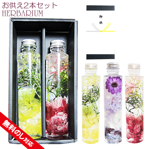 _N[|zz^ n[oE  2{ d ~MtgV~ ފ   r l ̂ Mtg{bNX vU[uht[   IC r herbarium Atelier memi 