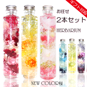 _N[|zz^ n[oE Mtg v[g yC2{z  a  vU[uht[  ` j o[Xf[ j 蕨  ސEj җ Ê 