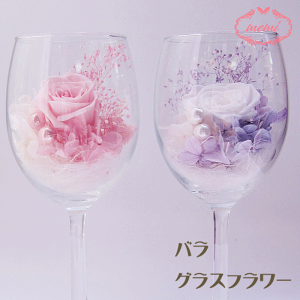 _z^ OXt[ {gt[ Mtg a o t[ zCgf[ v[g vU[uht[  w  j j 蕨  ސEj җ 