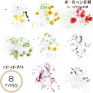 �_�N�[�|���z�z�^ �n�[�o���E�� �{�[���y�� �ԍ� �I�ׂ�J���[ 1�Z�b�g����