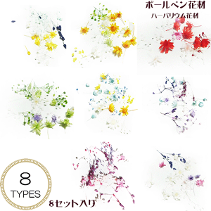 _N[|zz^ n[oE {[y ԍ [{[yp] X^[t[ 8Zbg n[oE{[yLbg yVLO1