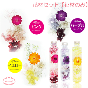 _N[|zz^ n[oE yԍނ̂݁z 킢  ԍ Zbg Lbg  n[oELbg vU[uht[ w  j AW{  S vU[u