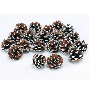 _N[|zz^ JT Xm[ n_ ؂̎ 3  4.5cm 1  20 NX}X vU[uht[ ԍ [X XbO A} bNX TVF Atelier memi AgG~