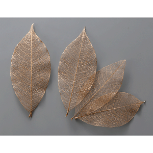 _10%OFF^ n_ ~jXPg[t S[h L5.5`7cm(40) vU[uht[ ԍ hCt[ X[t[ n[oE A} bNX TVF Atelier memi Ag