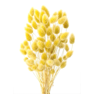 _10%OFF^ nj[e[ }X^[h 10g 42060-570 vU[uht[ ԍ X[t[ n[oE A} bNX TVF  [X Lh Â ޗ ANZT[  