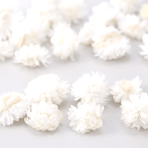 _N[|zz^ wNT wbh  vU[uht[ ԍ X[t[ n[oE A} bNX TVF  [X Lh Â ޗ ANZT[ n_